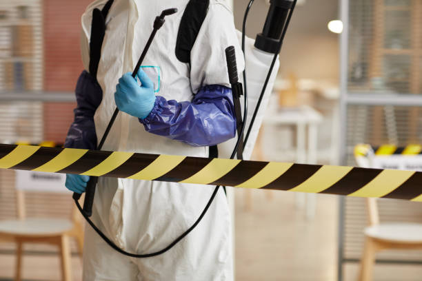 Professional Sewage Cleanup technician working in Arlington, VA
